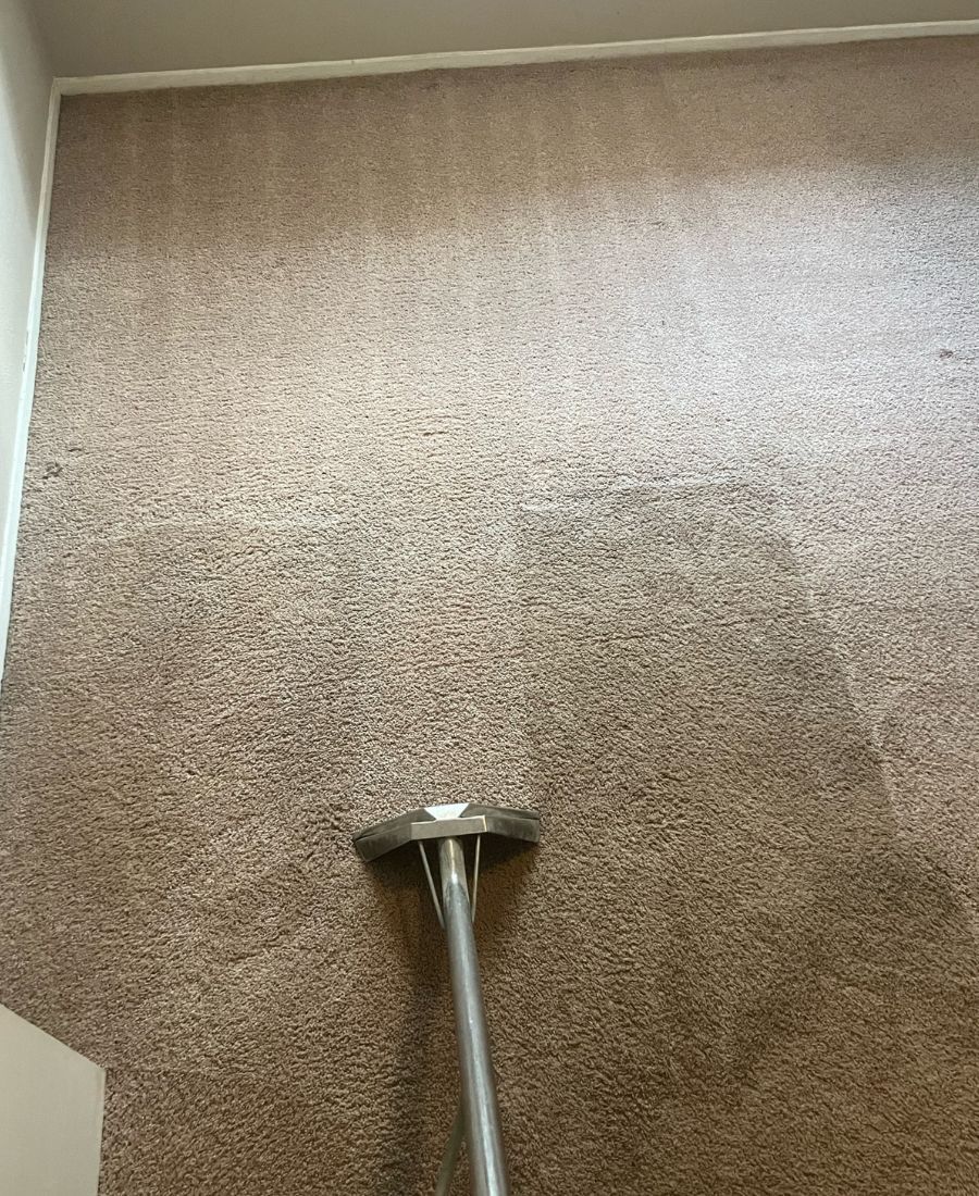 Carpet Cleaning in Little Elm TX