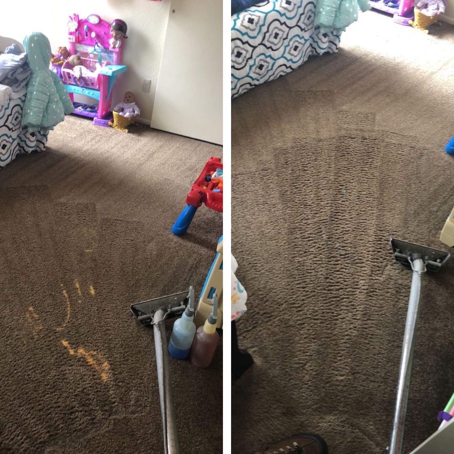 Carpet Cleaning Services