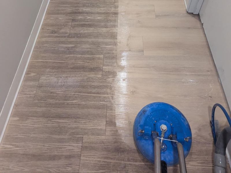 Vinyl Cleaning Service