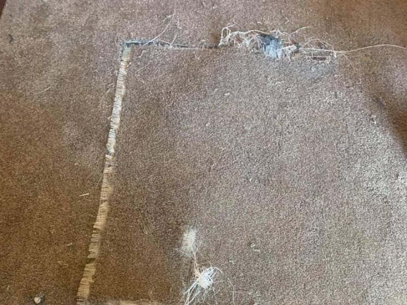 Carpet REpair Service