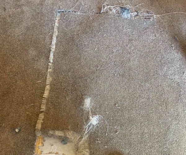 Before Carpet Repair