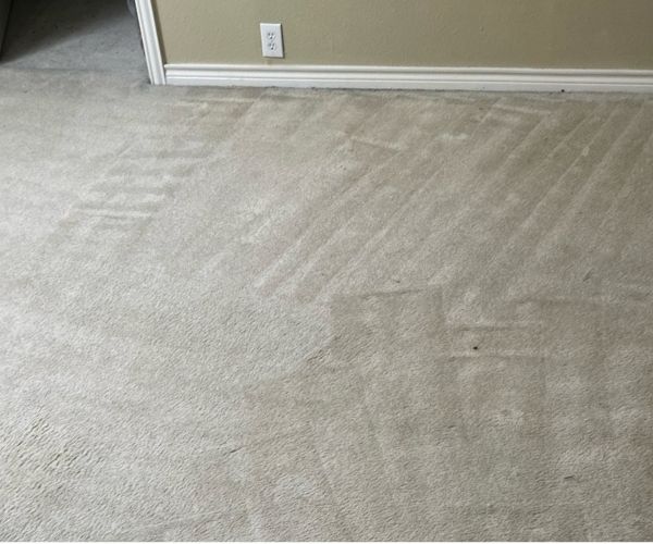 After Pet Stain Removal