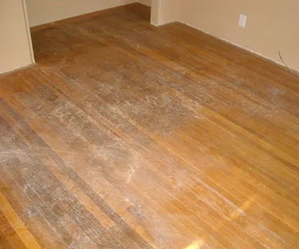 Before Hardwood Floor Cleaning