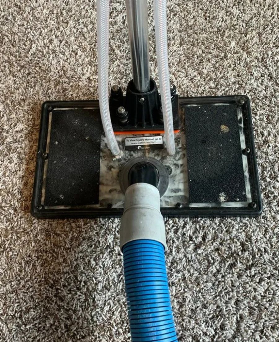 Pet Odor Removal in Frisco TX